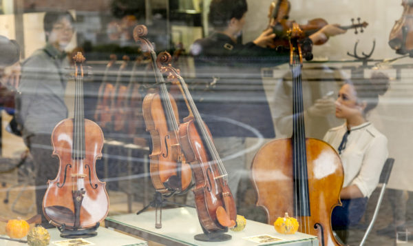 Negozio di violini - Cremona citta del violino