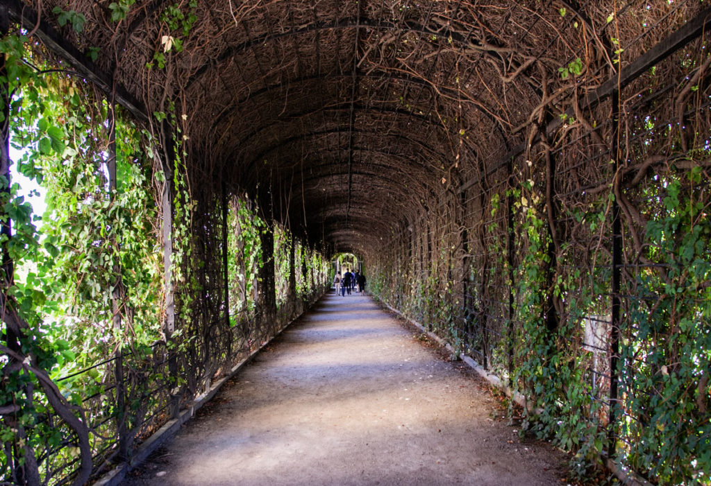 Tunnel di Piante - Giardino del Principe - kronprinzengarten Privy Garden