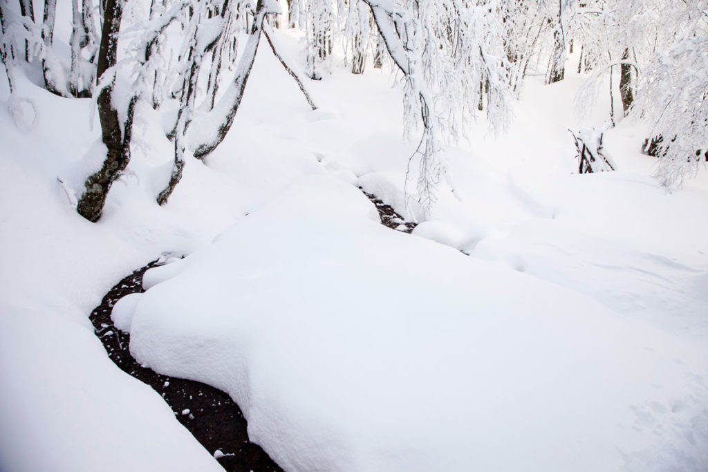 Ruscello nelle foreste casentinesi tra la neve