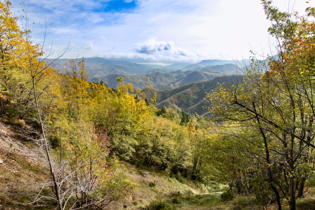 Panorama sulle valli di Bagno di Romagna