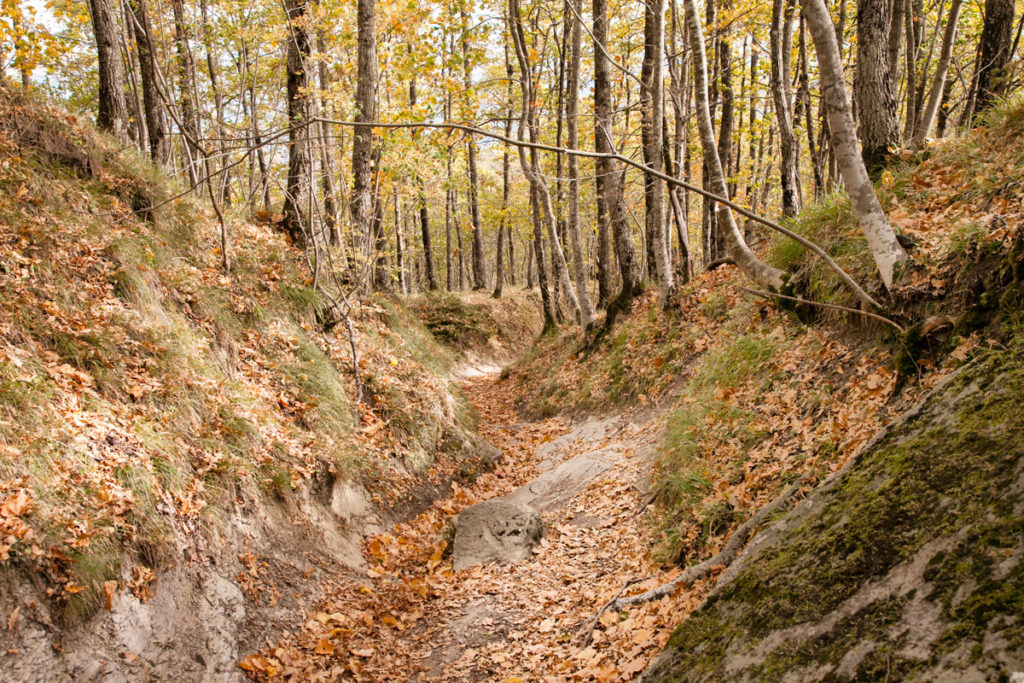Trekking in autunno - Bagno di Romagna Monte Carpano