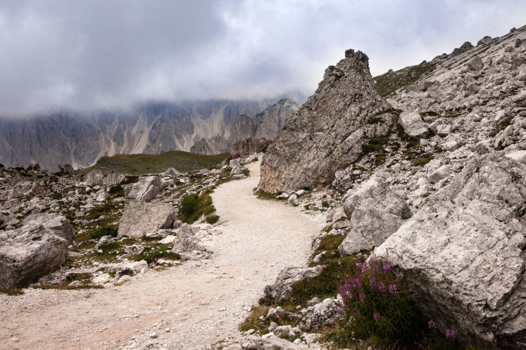 Sentiero di Montagna