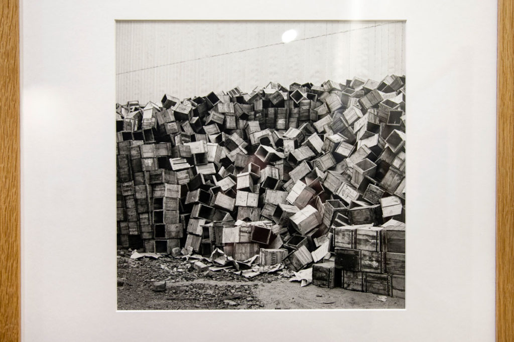 Vivian Maier - Fotografa governante - le forme