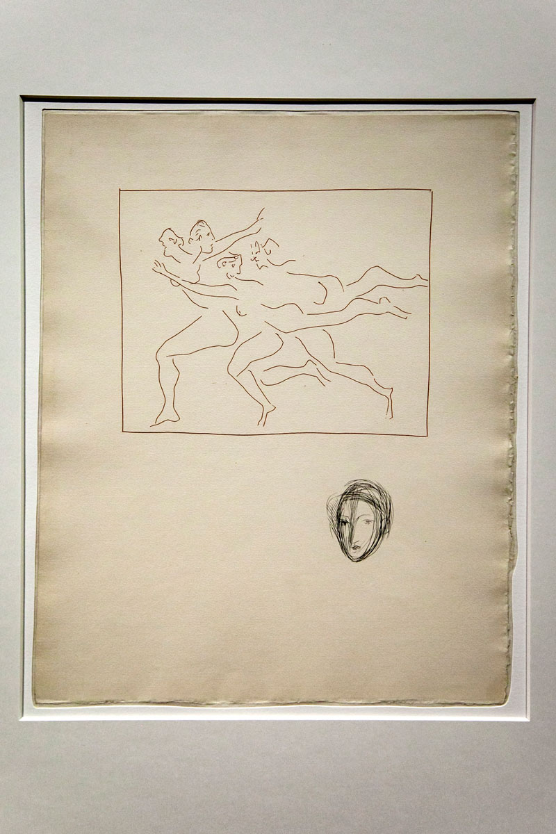 Illustrazioni di Pablo Picasso per l'opera dell'Ovidio - Picasso Metamorfosi