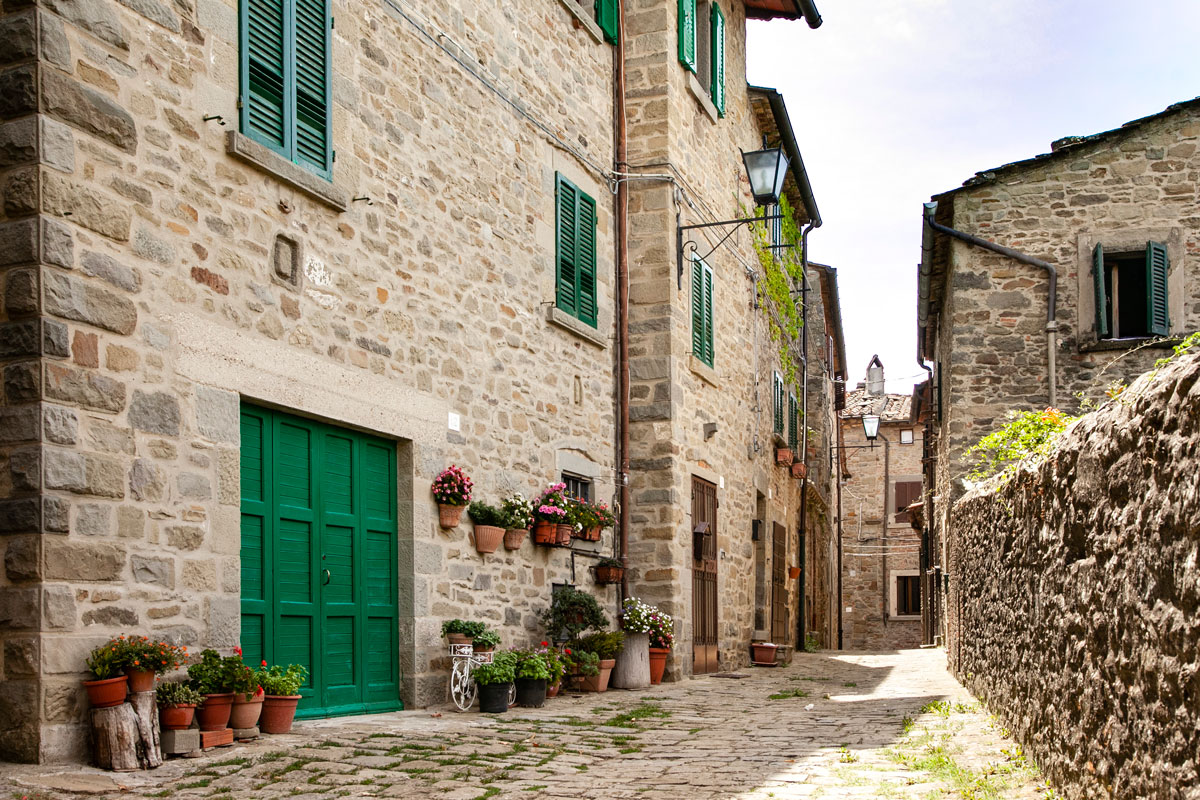Vicoli del centro storico di Cortona - Portone e vasi di fiori