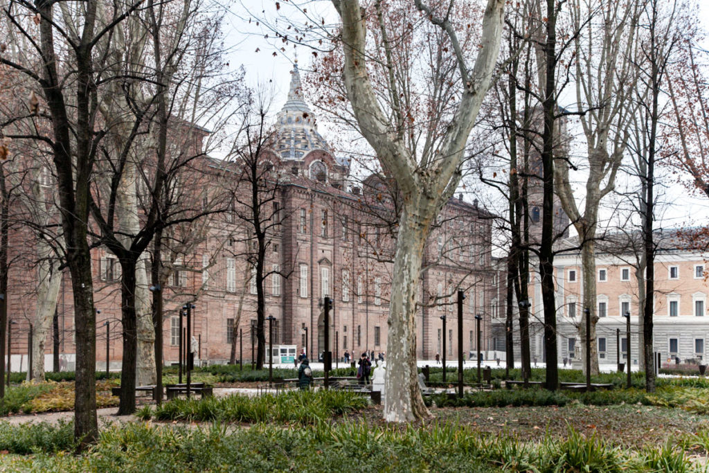 Palazzo Reale tra i rami dei Giardini Reali - Torino