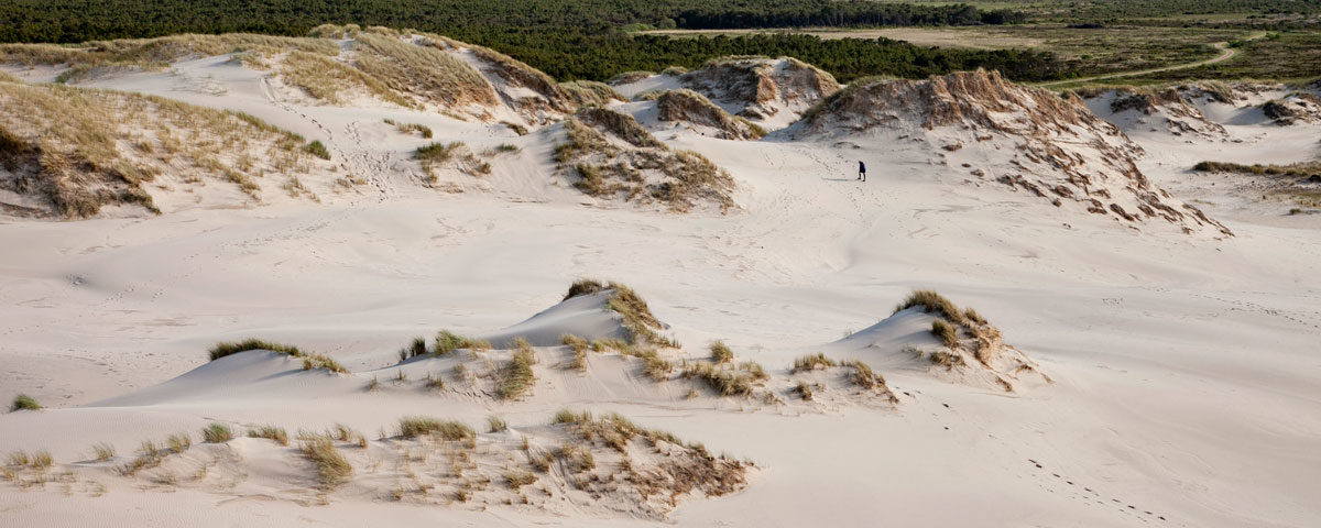 Rabjerg Mile - Le dune di sabbia mobili nei pressi di Skagen