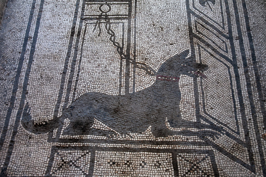 Mosaico pavimentale della Casa di Paquius Proculus