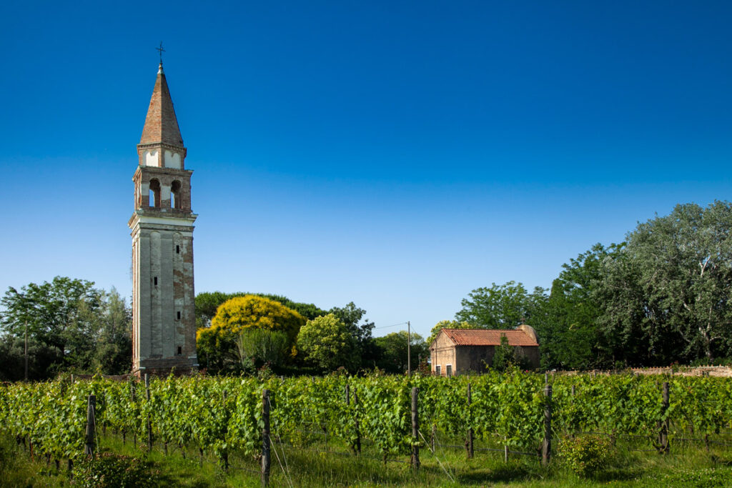 Vigna Murata e Campanile della chiesa di San Michele Arcagelo a Mazzorbo