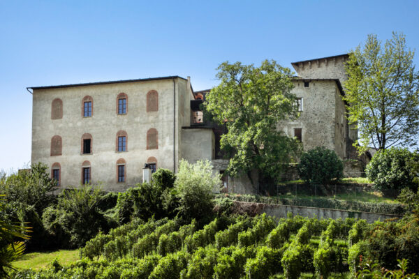 Castel Masegra di Sondrio e i suoi vigneti terrazzati