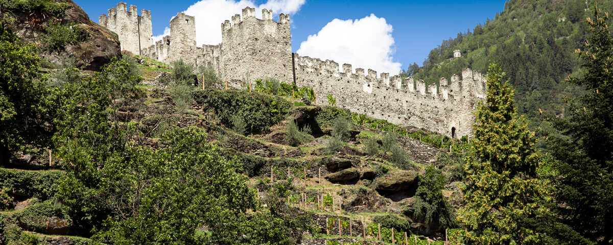 Castello Nuovo visto sopra i terrazzamenti - Grosio