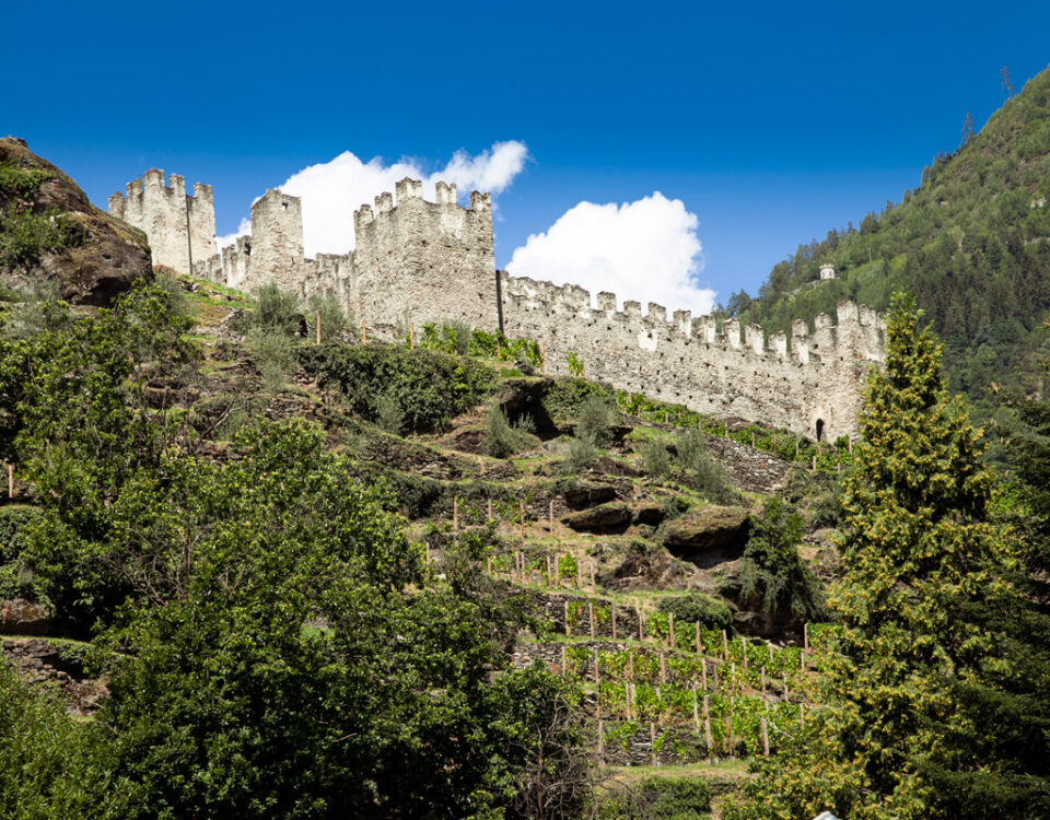 Castello Nuovo visto sopra i terrazzamenti - Grosio