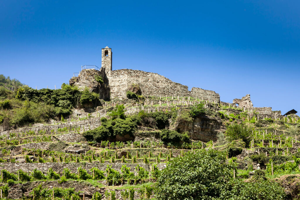 Castello di San Faustino visto sopra i terrazzamenti - Grosio