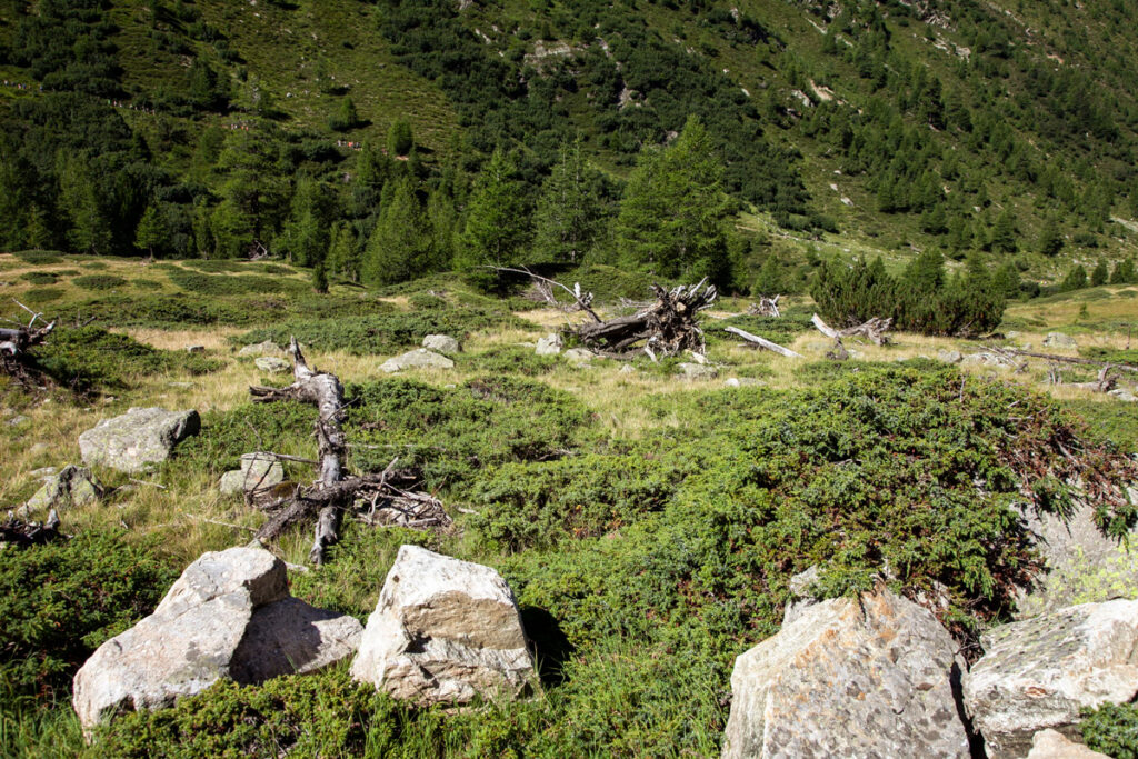 Natura roccia e arbusti lungo il trekking