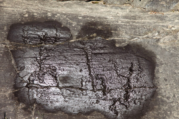 Oranti Saltici - Figure antropomorfe incise sulla Rupe Magna