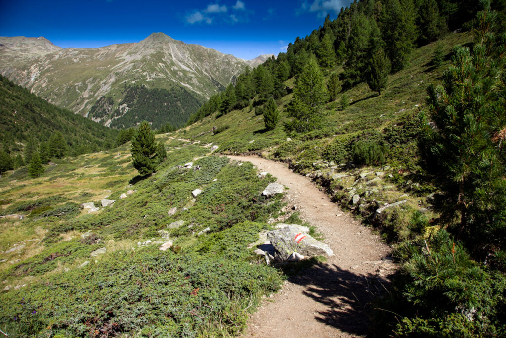 Sentiero segnalato in Val Nera - Sondrio