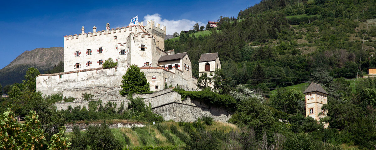 Castel Coira tra la vegetazione