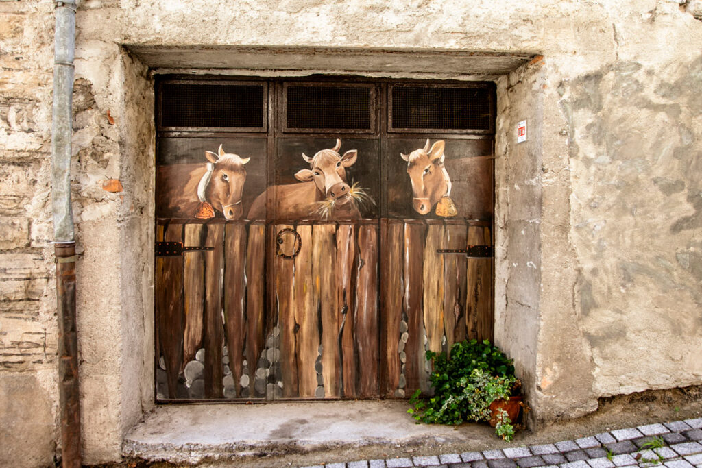 Mucche dipinte sulla porta della stalla a Claino - Como