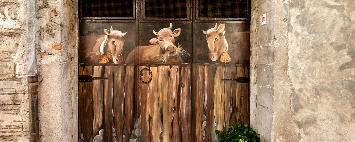 Mucche dipinte sulla porta della stalla a Claino - Como