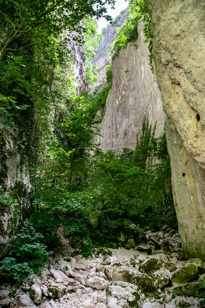 Roccia e vegetazione nel parco naturale fino alla valle d'Arano