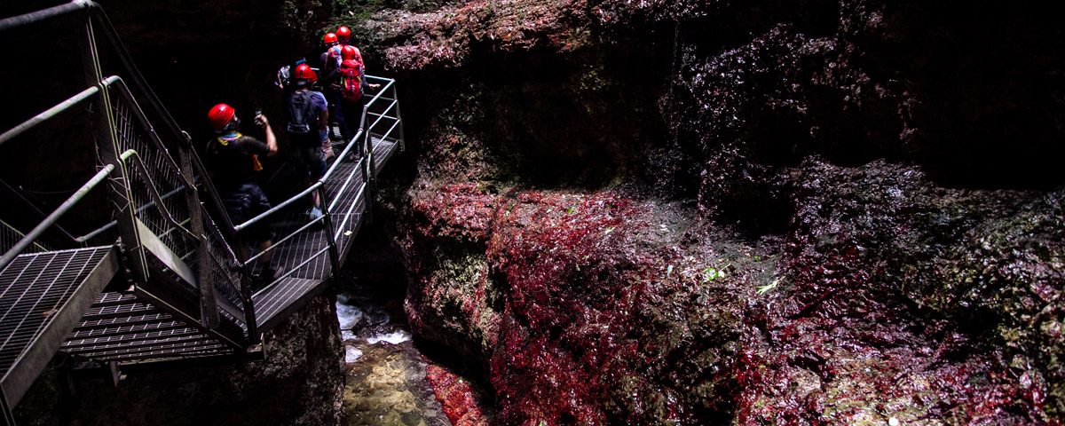 Alghe rosse sulle pareti del Canyon Rio Sass