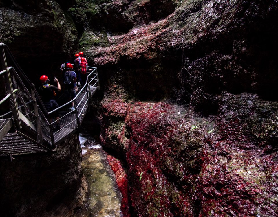 Alghe rosse sulle pareti del Canyon Rio Sass