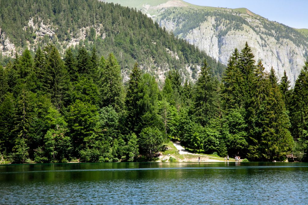 Alberi verdi e giornate terse - visita al lago in estate