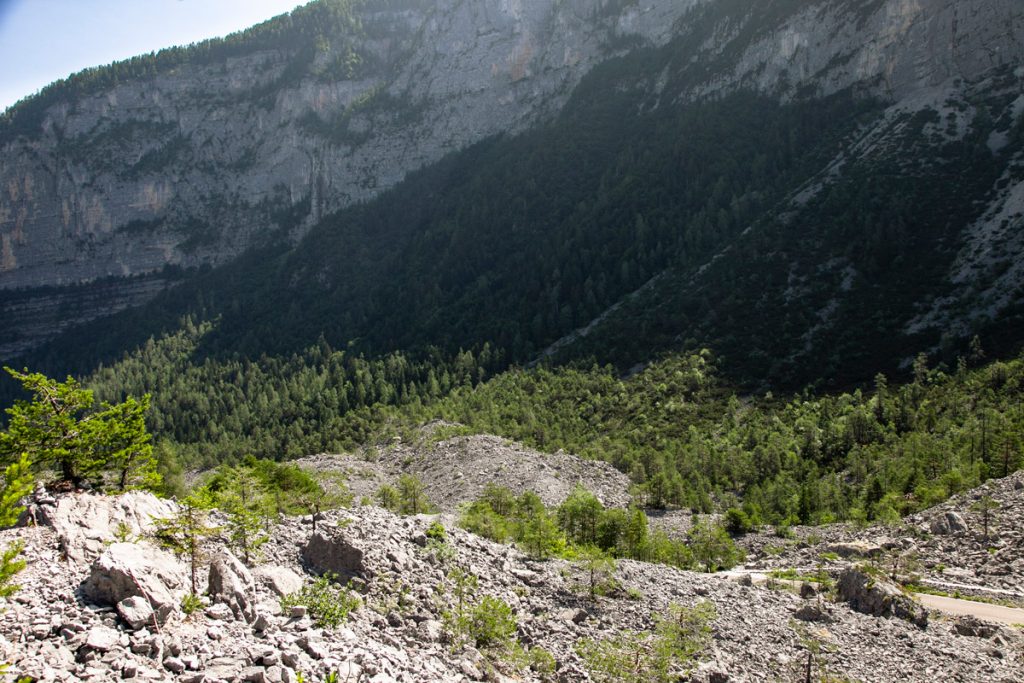 Boschi - Crinali della Montagna e Rocce nel sentiero delle Glare