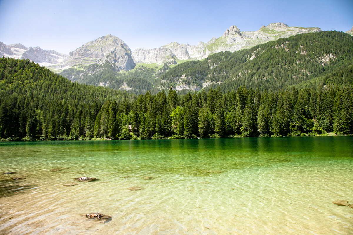 Lago di Tovel - Alberi e Montagne - Parco Adamello Brenta