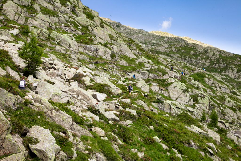 Trekking tra le rocce del pendio della montagna - Madonna di Campiglio