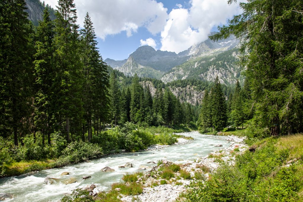 Ansa del fiume Sarca nei pressi del rifugio Stella Alpina