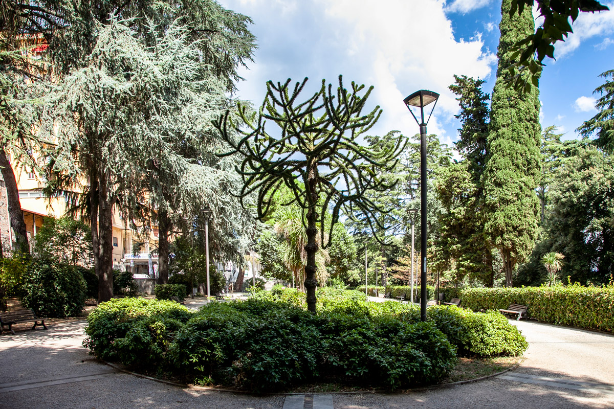 Gli alberi nel parco comunale di Villa Ginnetti - Velletri