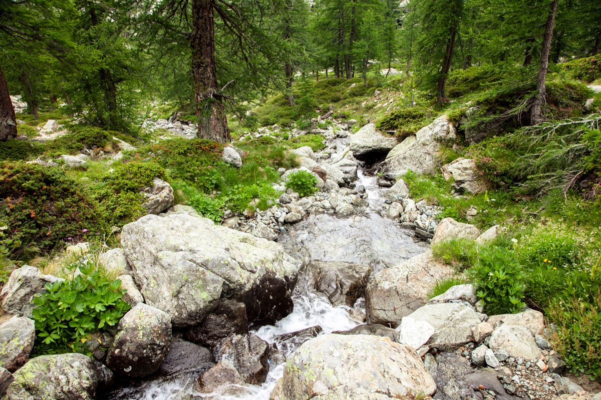 Acqua del torrente che scorre tra le rocce del parco naturale del Monte Avic