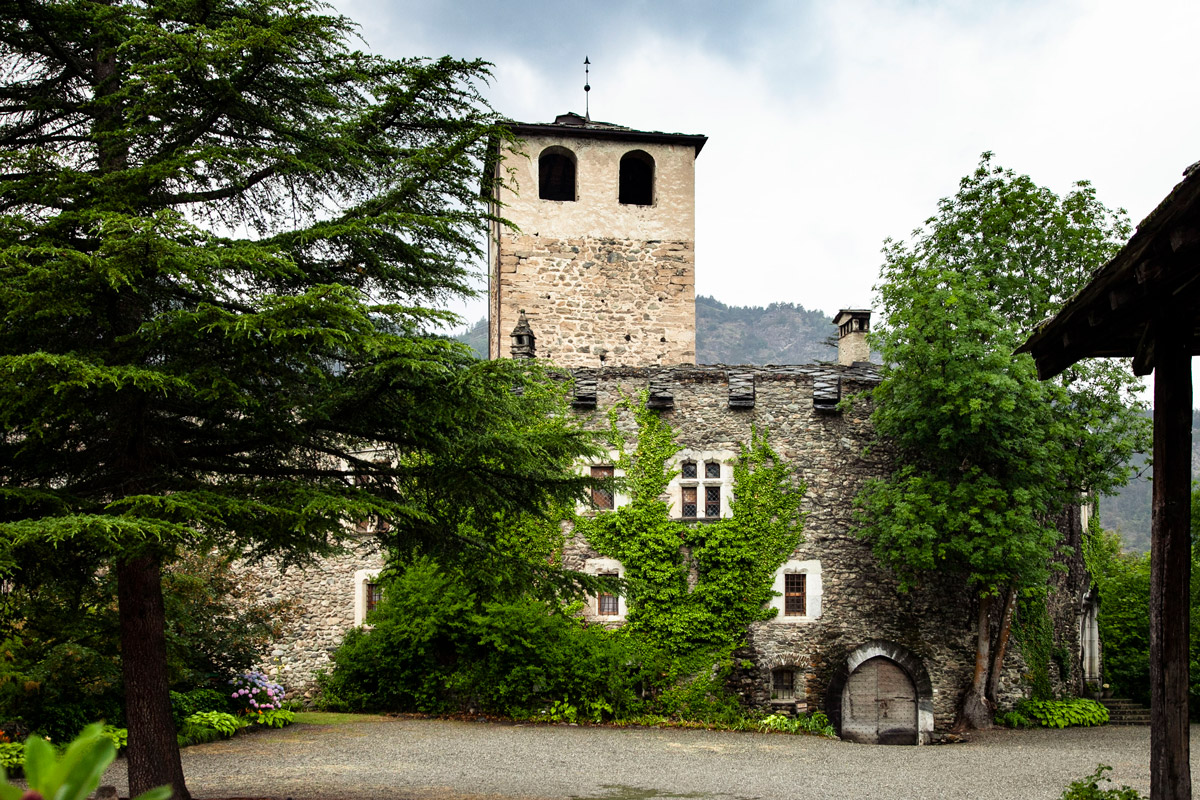 Cortile del castello e vegetazione sui muri