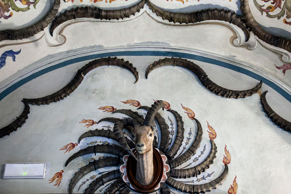 Dettaglio delle decorazioni del castello Reale di Sarre con trofei di stambecchi