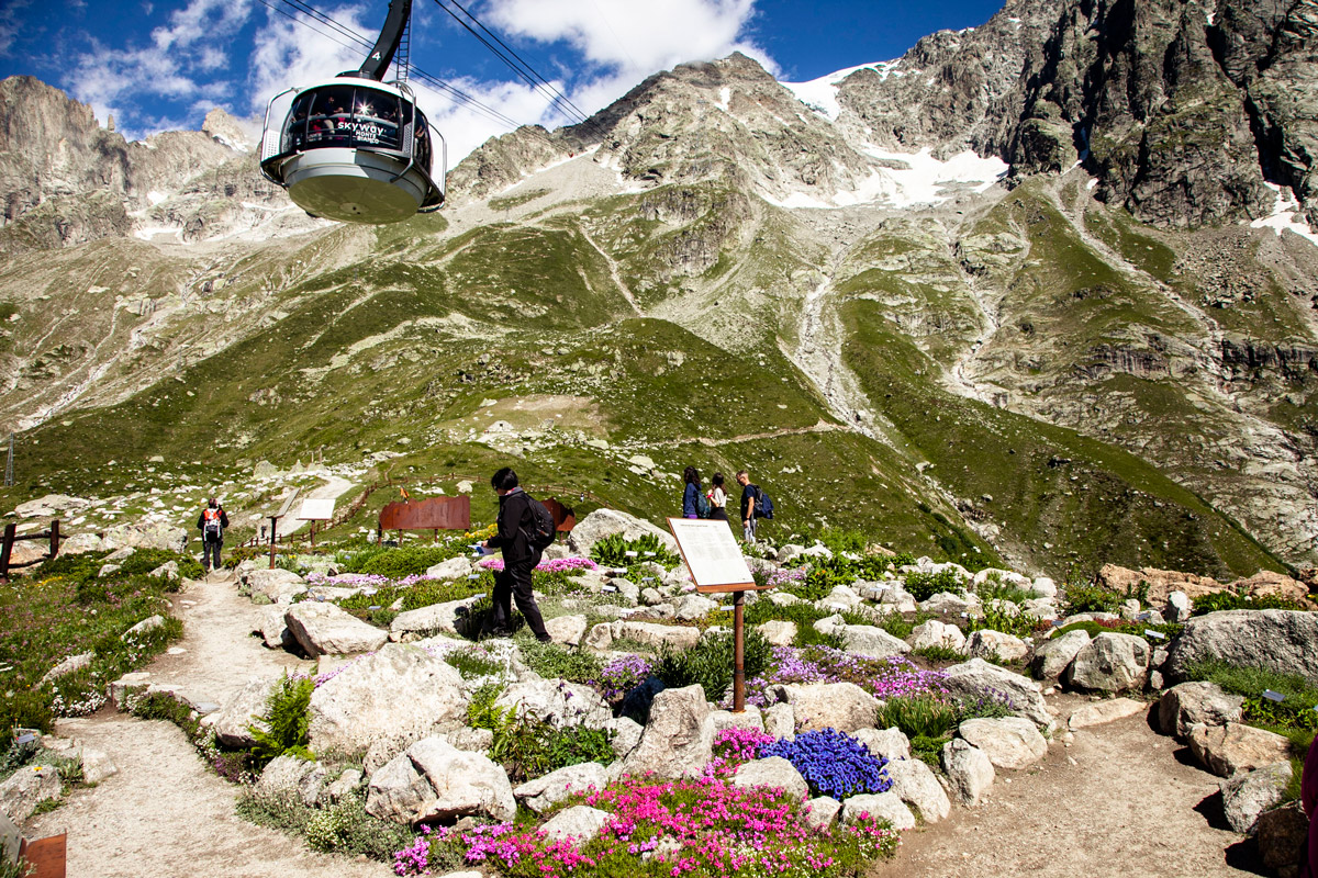 Giardino Botanico Alpino Saussurea con la funivia Skyway Monte Bianco