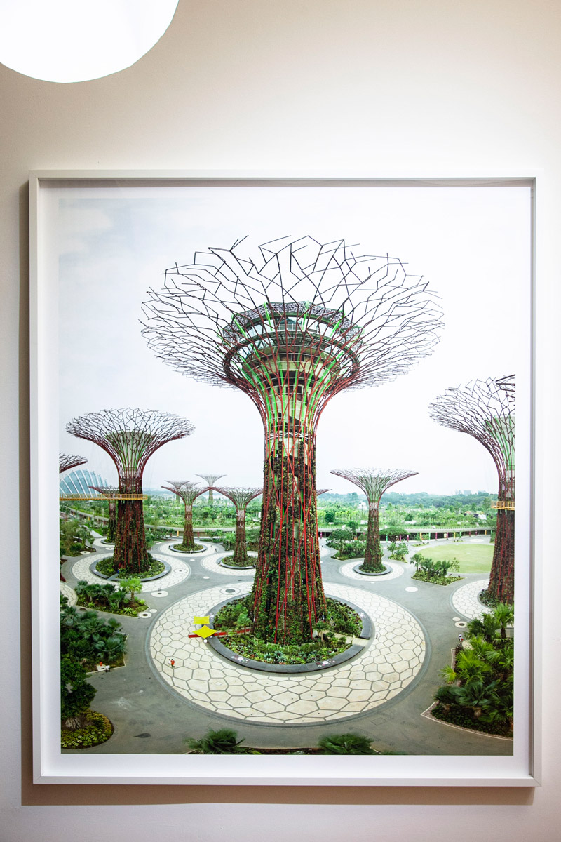 Olaf Otto Becker - Supertree Grove - Gardens by the Bay - Singapore