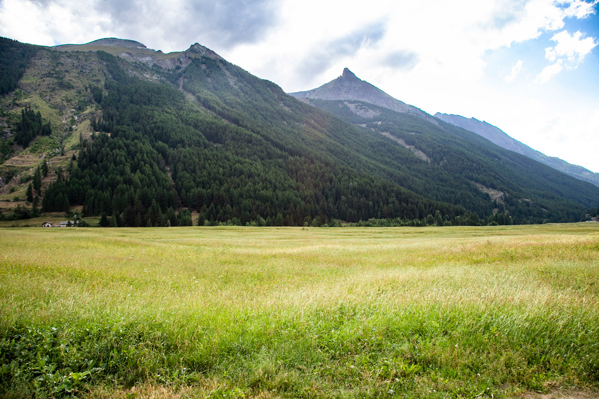 Prato di Sant'Orso - Altopiano verdeggiante in Valle d'Aosta