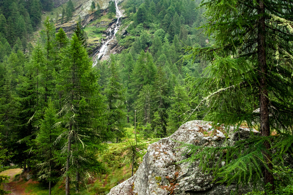 Rocce alberi e cascate in Valsavarenche