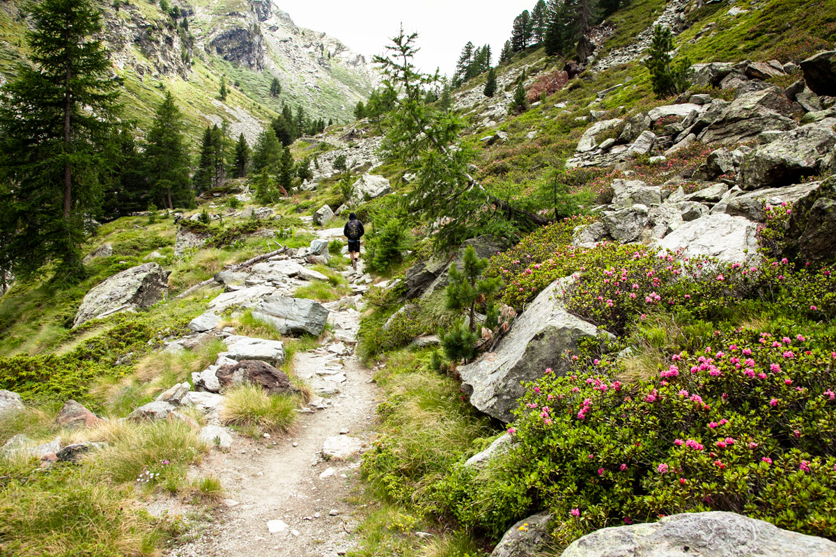 Sentiero ripido nel percorso ad anello del lago di Loie - Valle d'Aosta