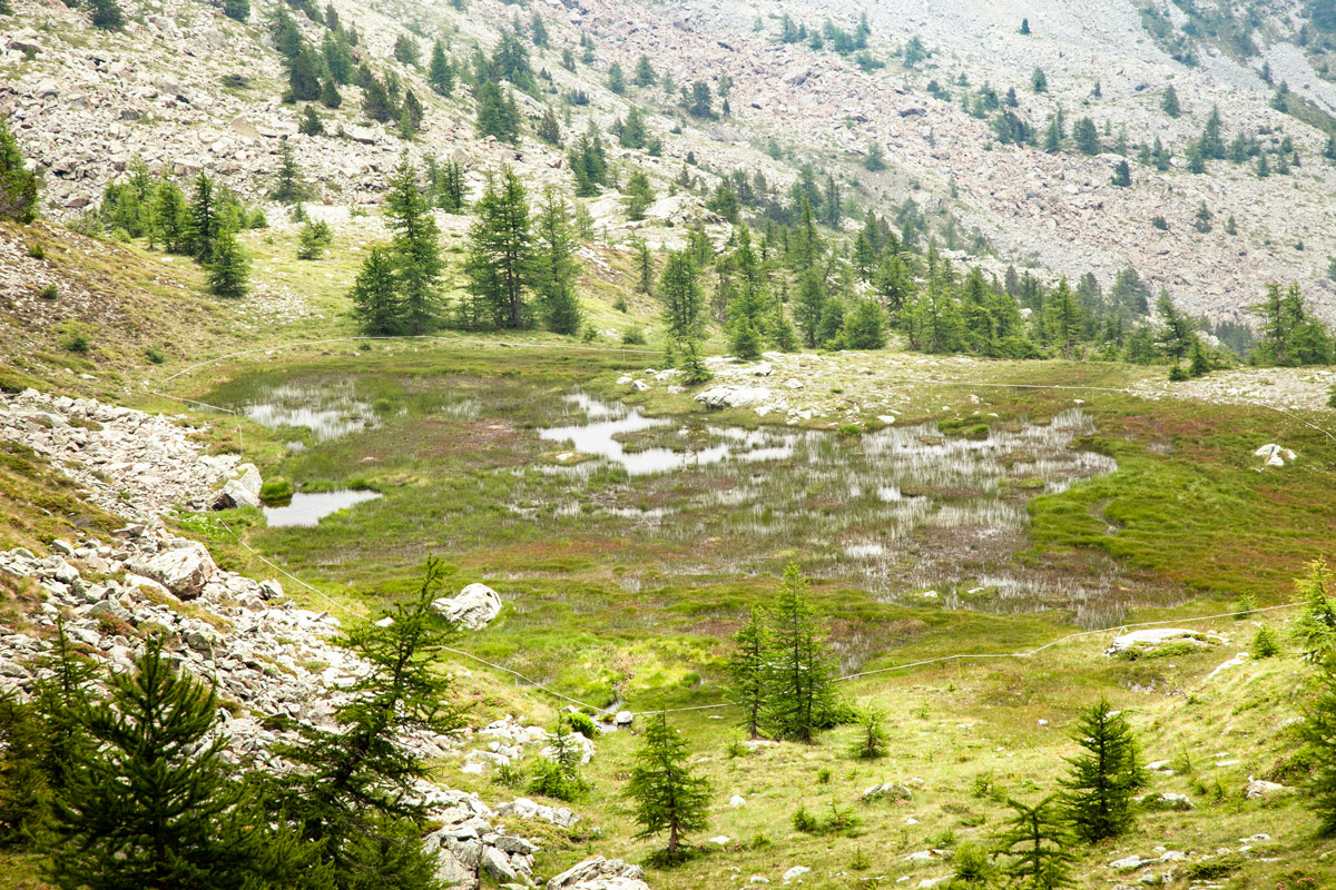 Torbiera del Monte Avic vista dal Colle del Lago Bianco