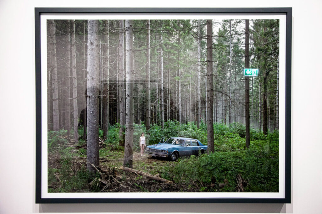 The Pine Forest - Fotografia del 2014 di Gregory Crewdson - Progetto Cathedral of the Pines