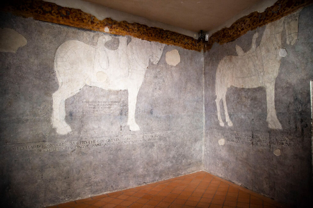 Seconda sala dei disegni preparatori - Cavalli di Castello Pandone