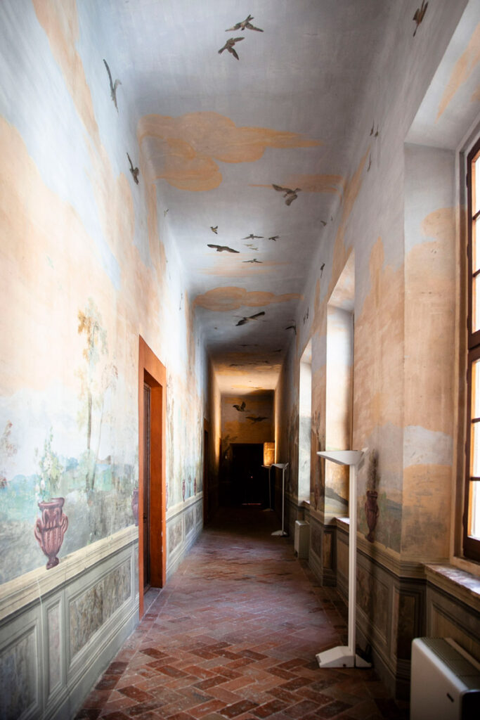 Affreschi con motivi naturali nei corridoi di palazzo Chigi Zondadari