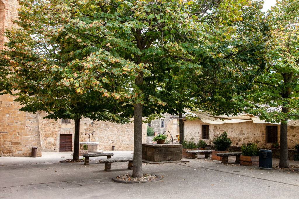 Piazza di Monticchiello in autunno