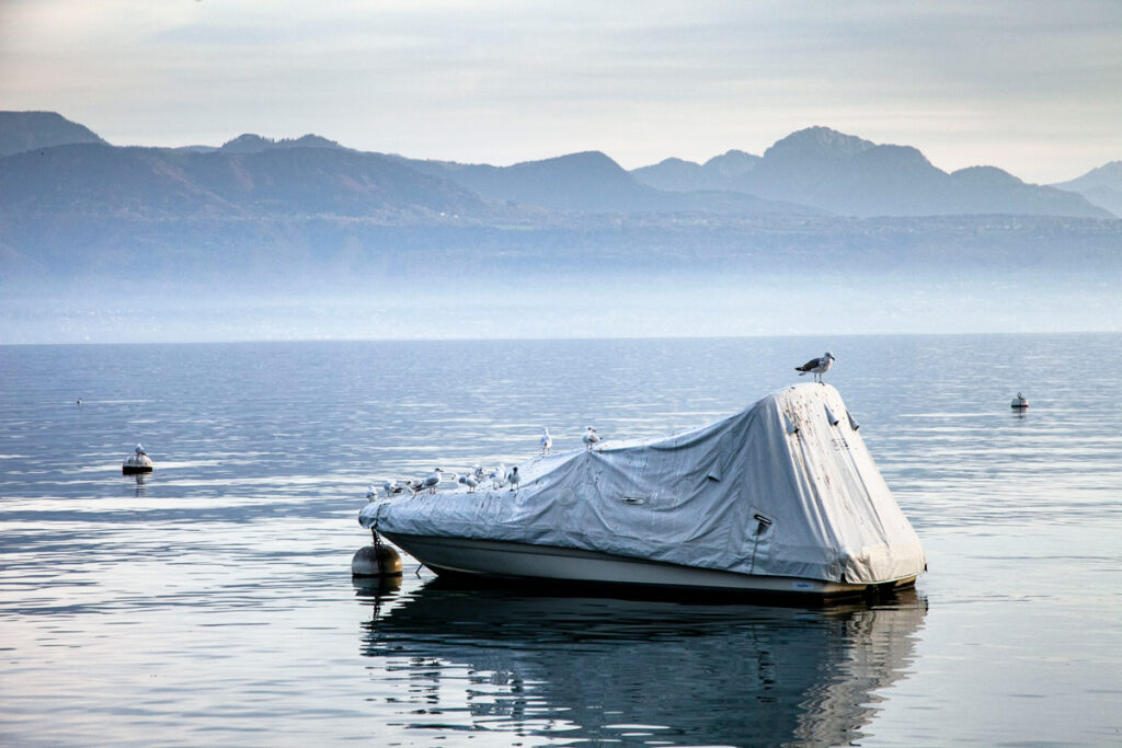 Barca coperta con gabbiano sul lago