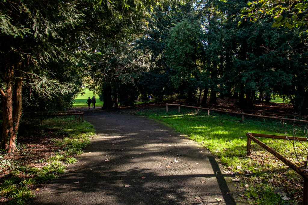 Alberi e ombra nel parco la Grange di Ginevra