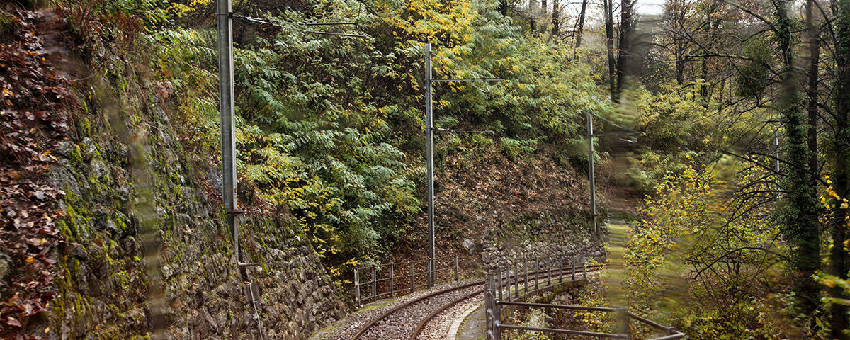 Autunno sul treno del foliage