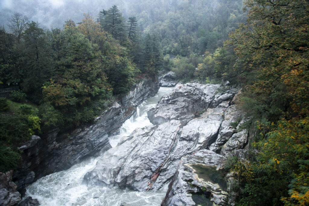 Panorama sulla valle dal treno del foliage