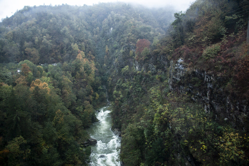 Panorami visti dal treno del foliage